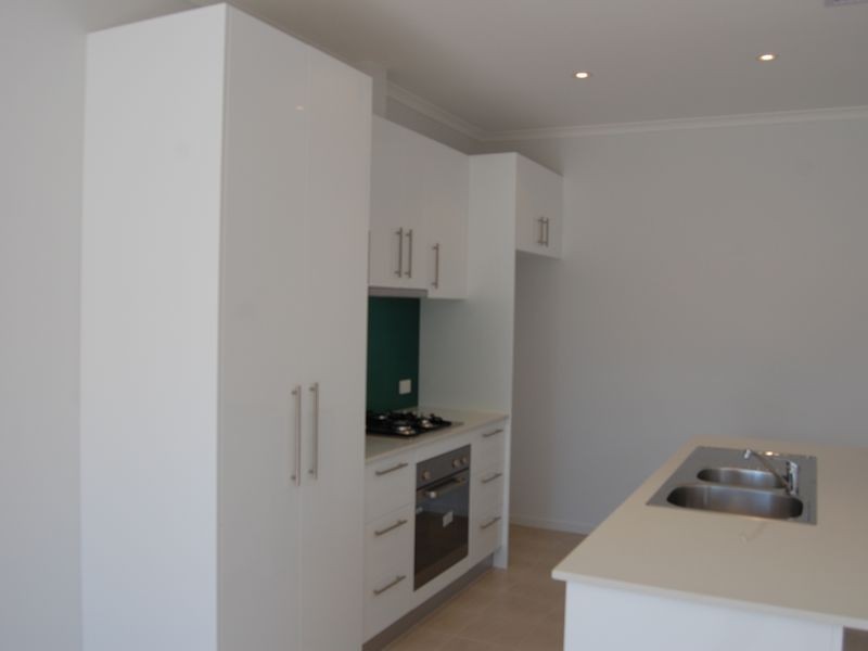 25 Rosedale Avenue, Morphettville SA 5043