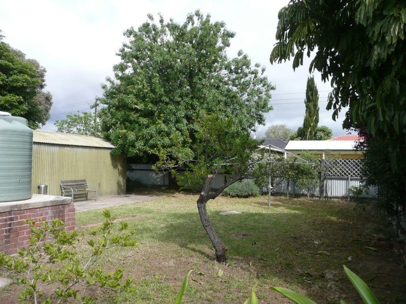 12 Hms Buffalo Avenue, Edwardstown SA 5039