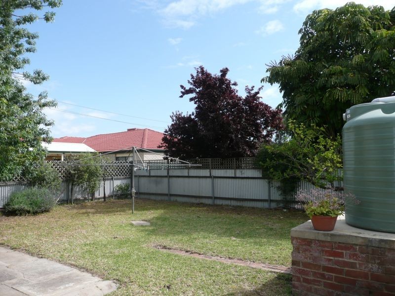 12 Hms Buffalo Avenue, Edwardstown SA 5039
