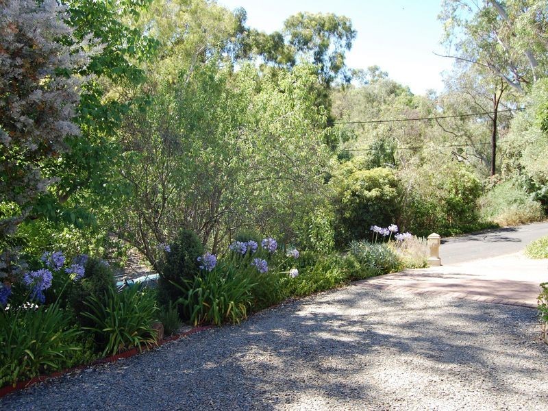 16 Cedar Avenue, Blackwood SA 5051