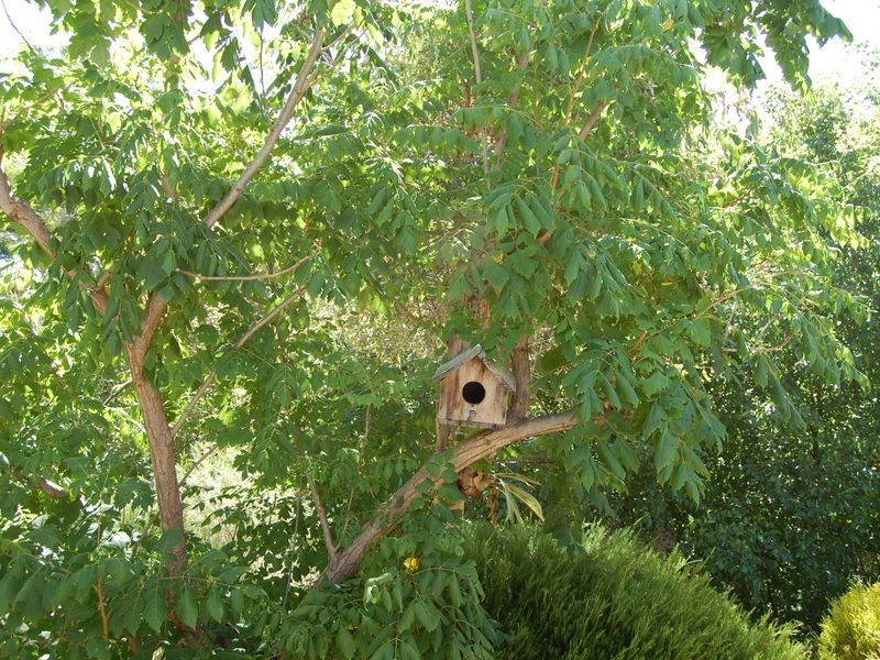 16 Cedar Avenue, Blackwood SA 5051