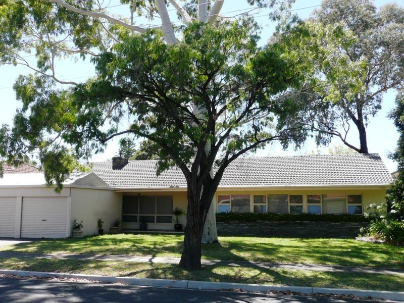 8 Skinner Street, Ascot Park SA 5043