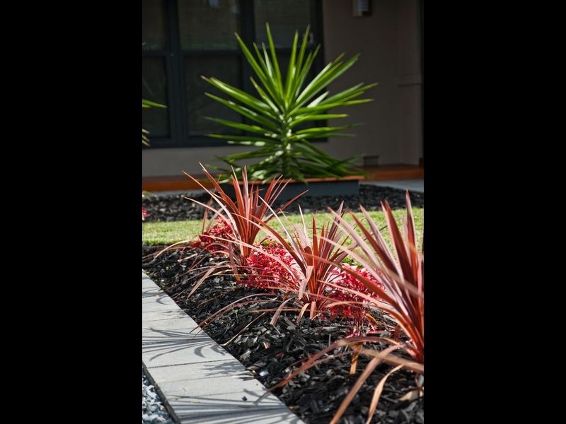 20 Finchley Street, Clovelly Park SA 5042