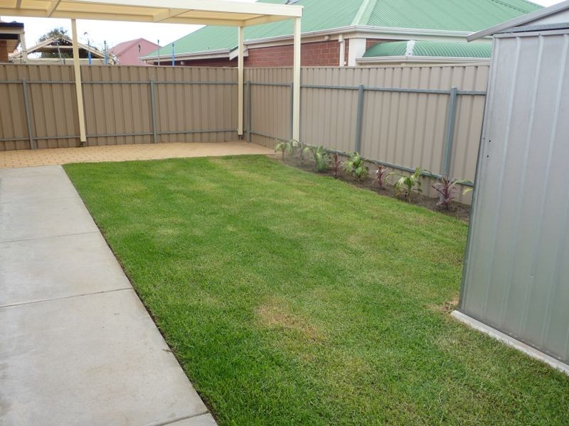 19 Lanark Avenue, Mitchell Park SA 5043