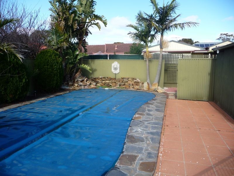 13 Orkney Avenue, Marion SA 5043