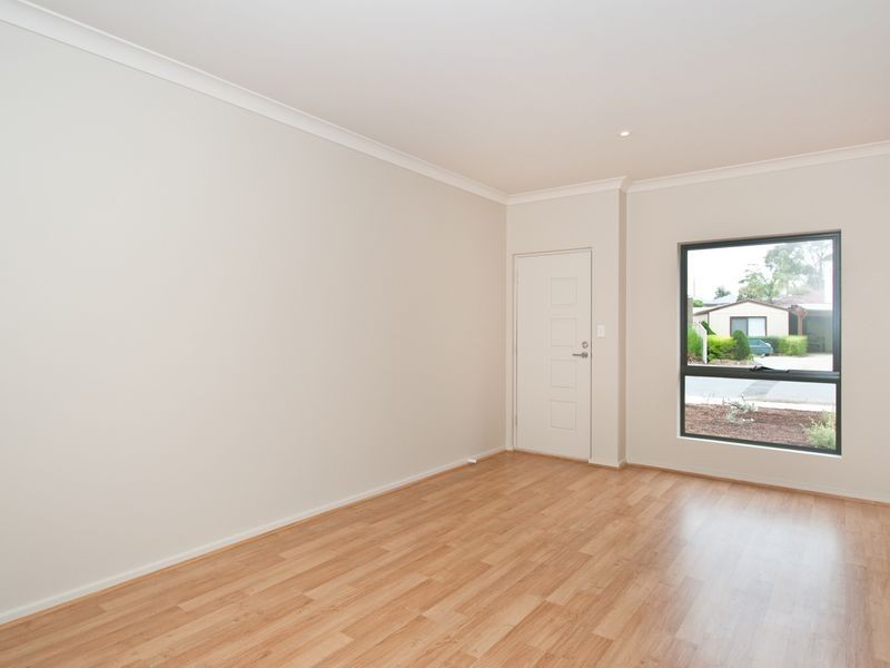 20 Albany Crescent, Oaklands Park SA 5046