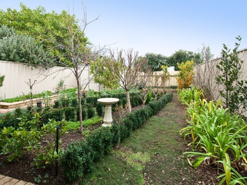 6 McQuillan Avenue, Renown Park SA 5008