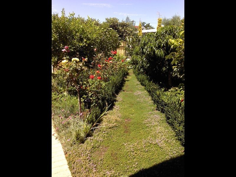 6 McQuillan Avenue, Renown Park SA 5008