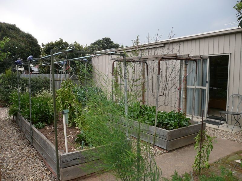 391 Morphett Road, Oaklands Park SA 5046