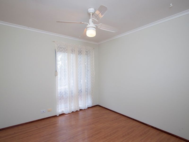 1 Walker Avenue, Clovelly Park SA 5042