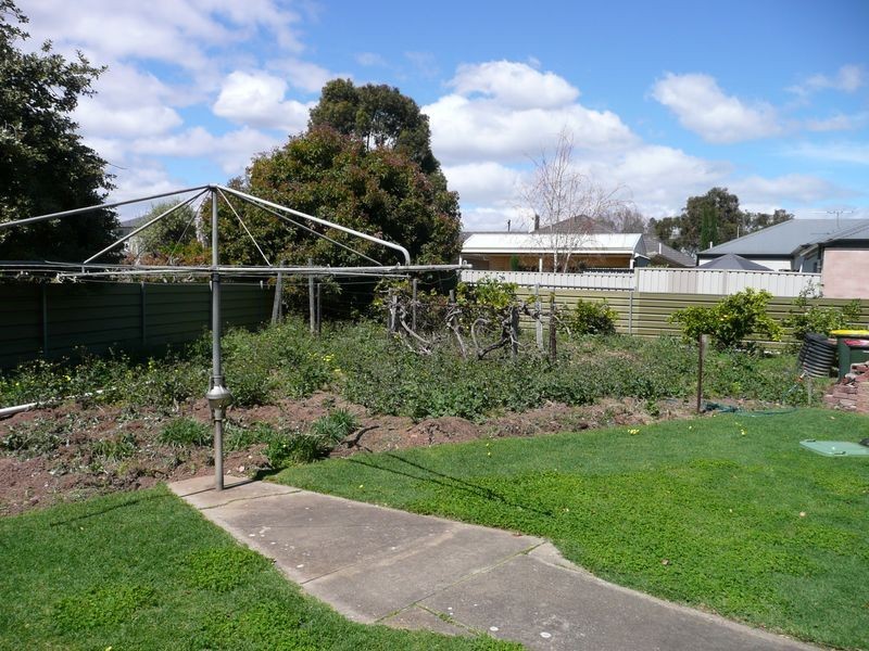 48 Livingstone Street, Glengowrie SA 5044