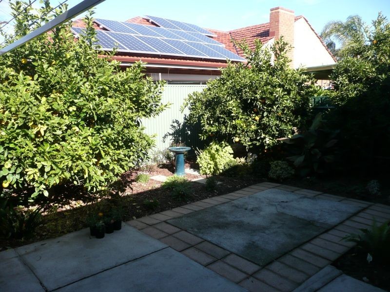 4 Osborn Terrace, Plympton SA 5038