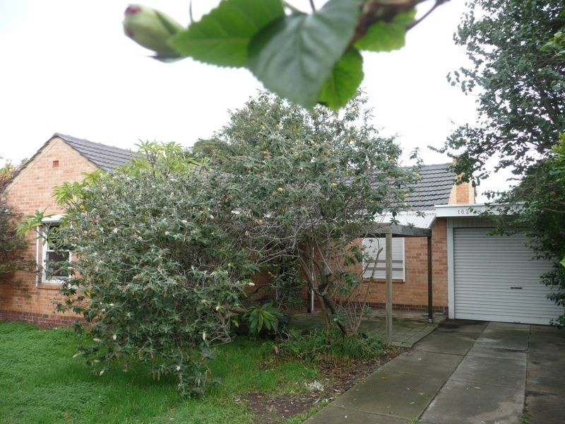 162 Morphett Road, Glengowrie SA 5044