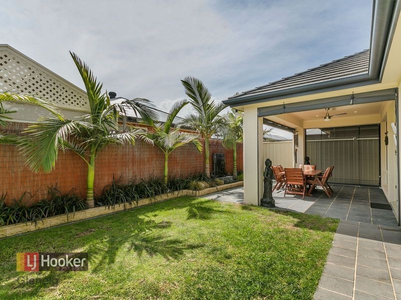 7 Sonia Street, Grange SA 5022