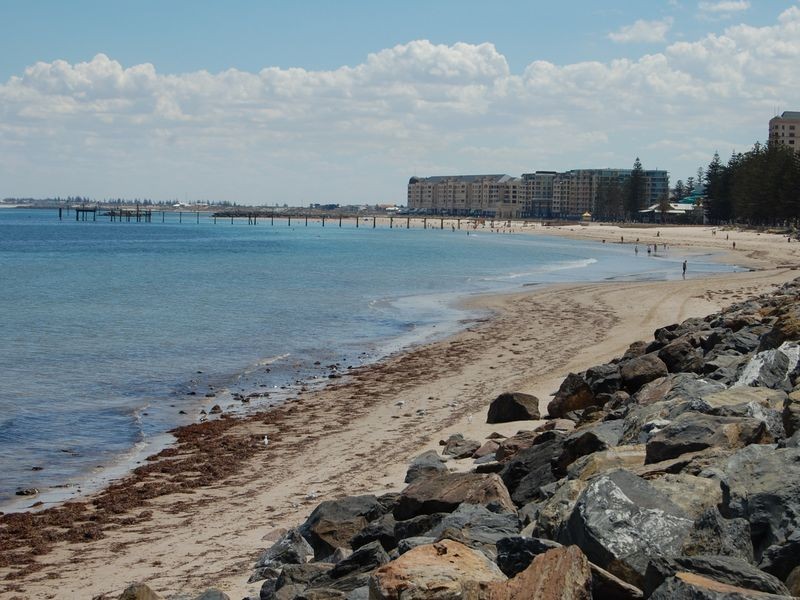 22 Weewanda Street, Glenelg South SA 5045