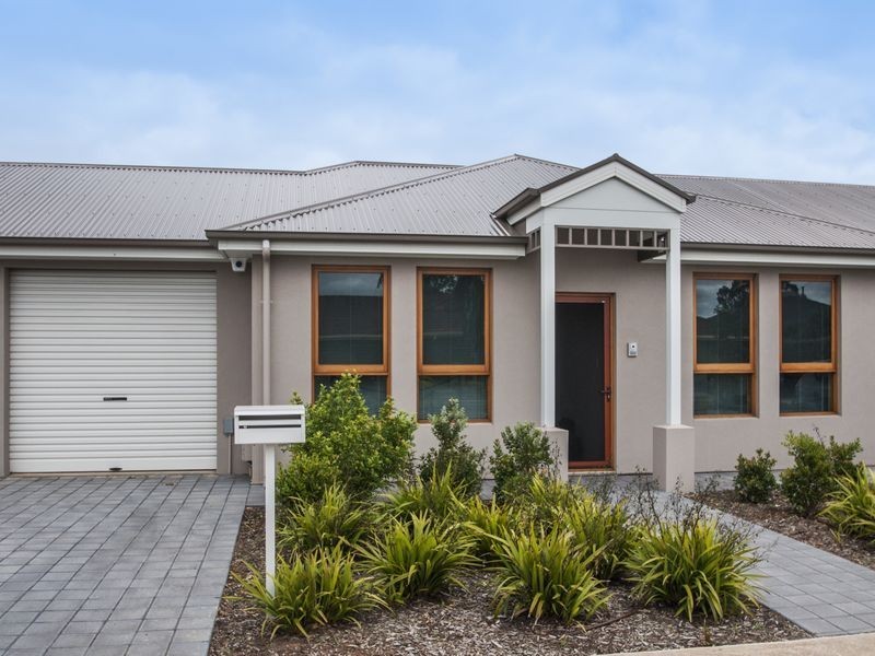 52 Fourth Avenue, Ascot Park SA 5043