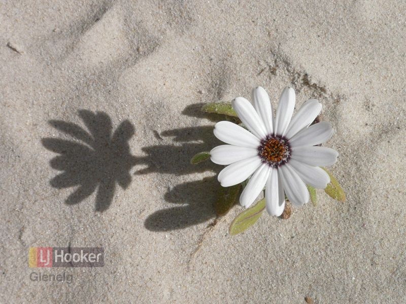 2/112 Esplanade, Semaphore SA 5019