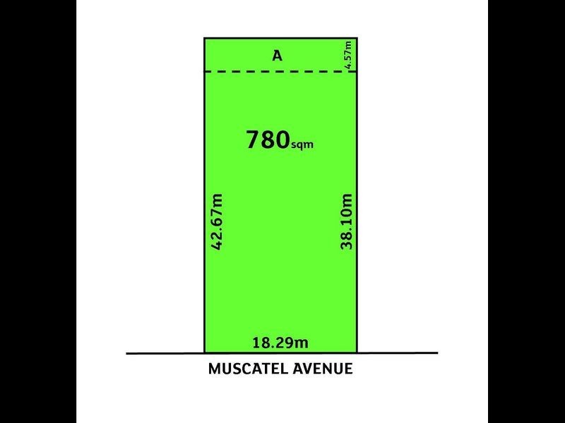 3 Muscatel Avenue, Wattle Park SA 5066