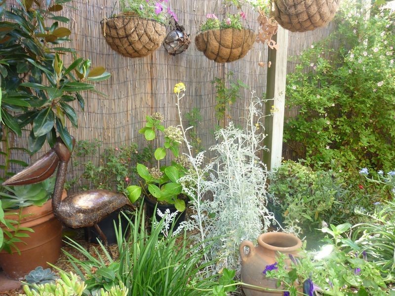 3/4 Wattle Avenue, Hove SA 5048