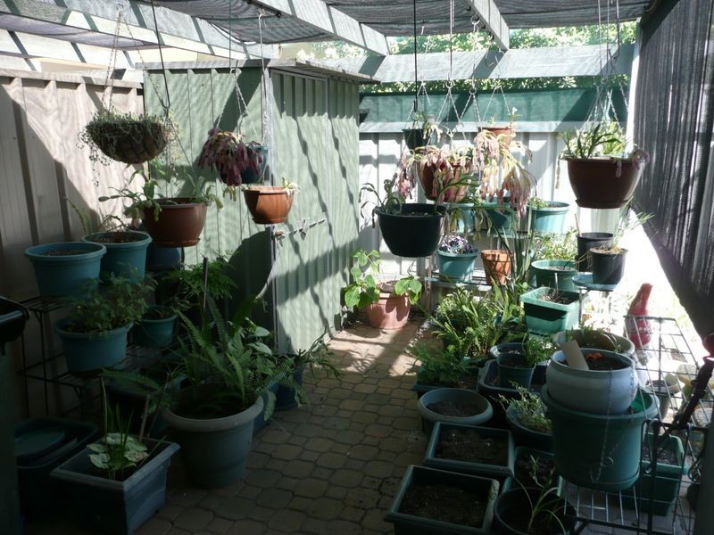 2/112 Wills Street, Peterhead SA 5016