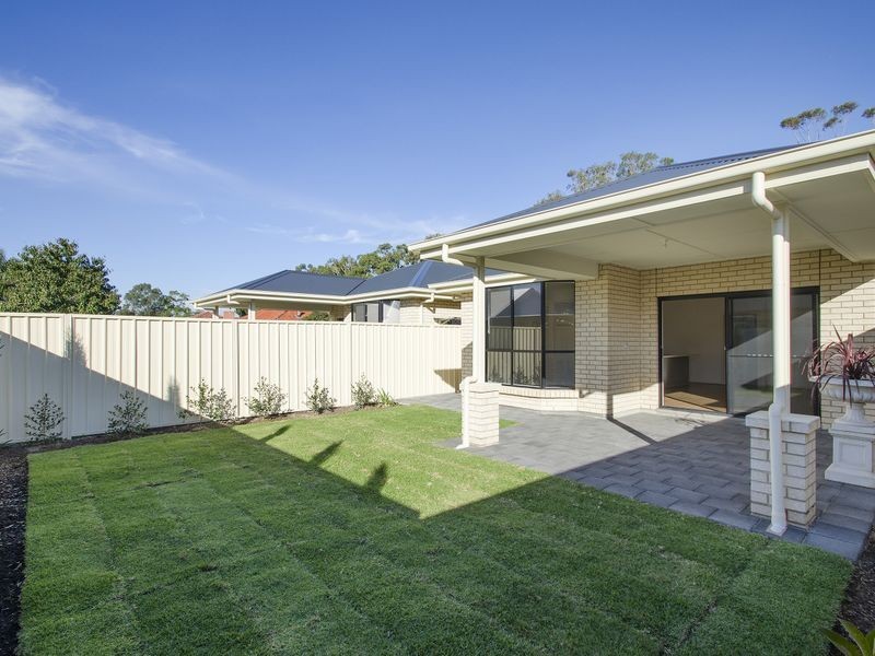 23 Hamilton Avenue, Warradale SA 5046