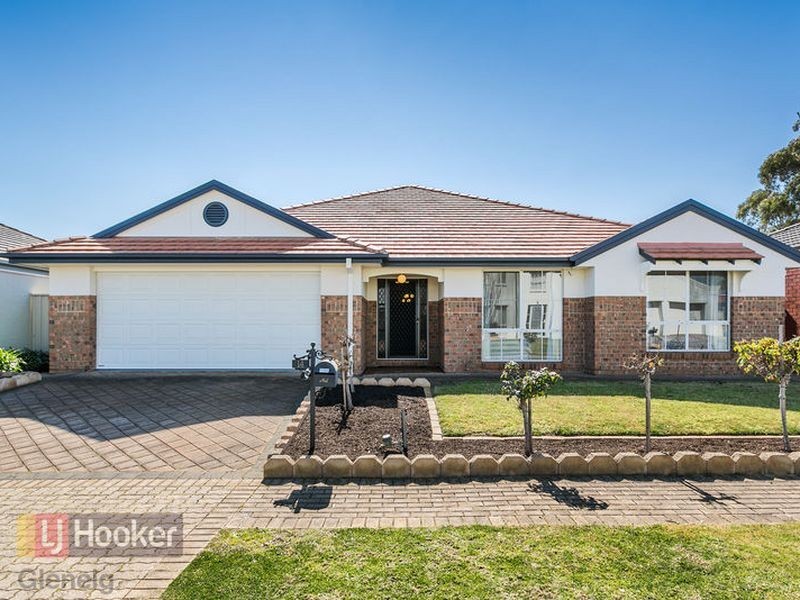 14 Newberry Avenue, Morphettville SA 5043