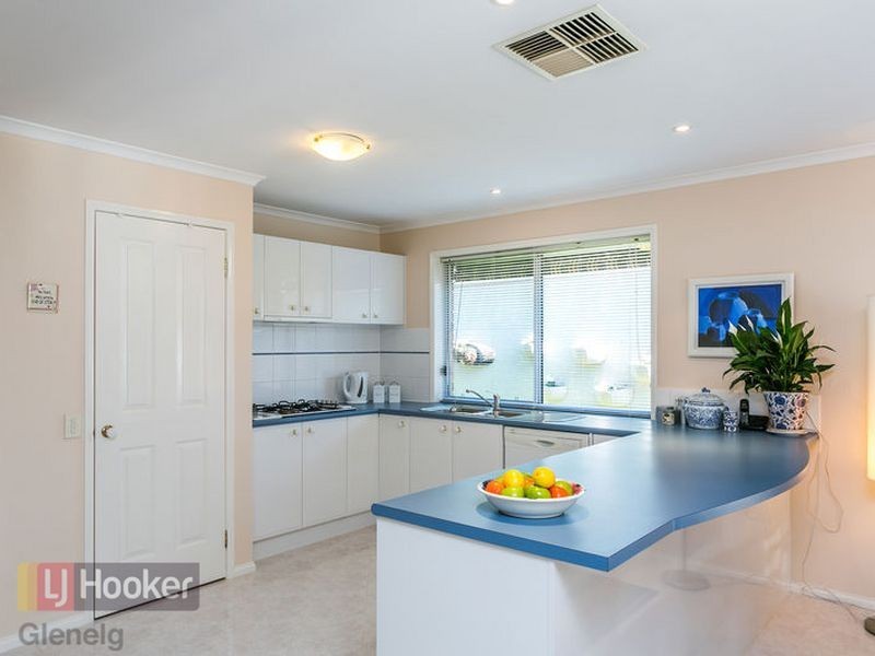 14 Newberry Avenue, Morphettville SA 5043