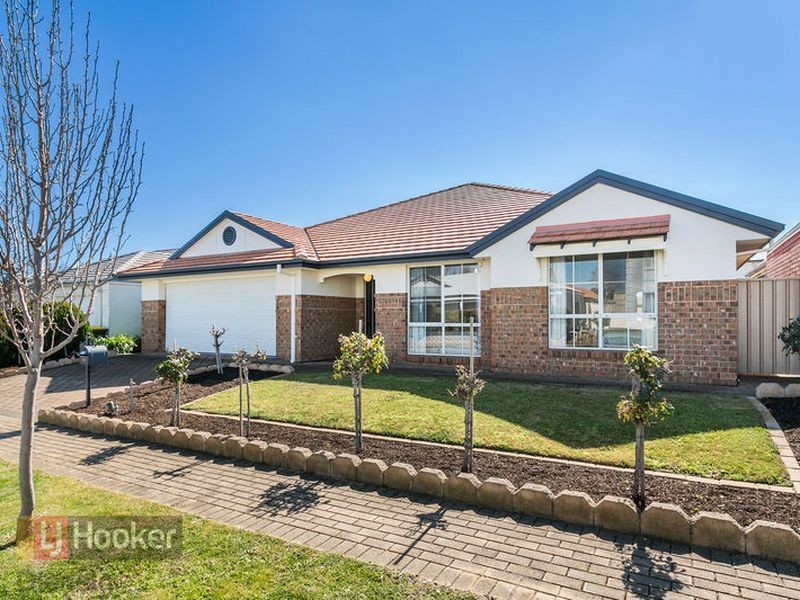 14 Newberry Avenue, Morphettville SA 5043