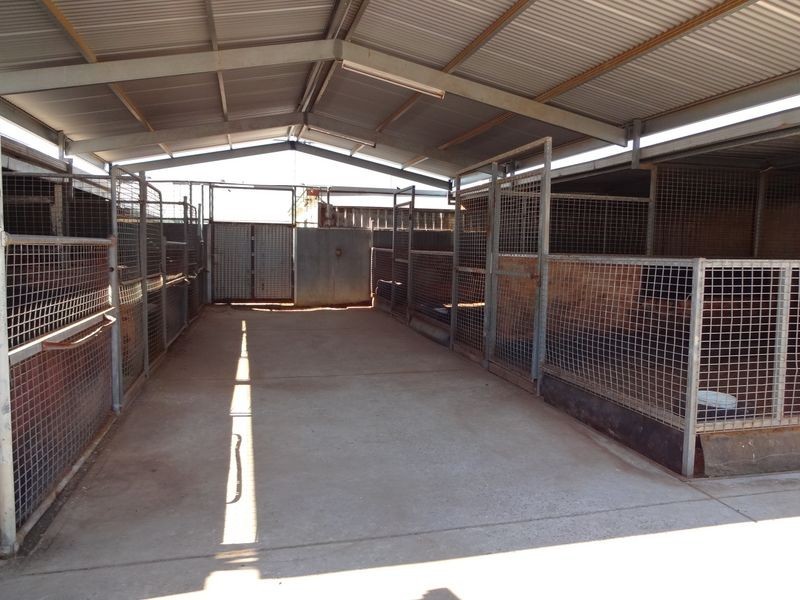 42 Austral Tce, Morphettville SA 5043