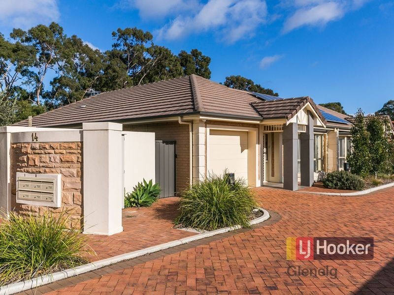 14 Finniss Street, Marion SA 5043