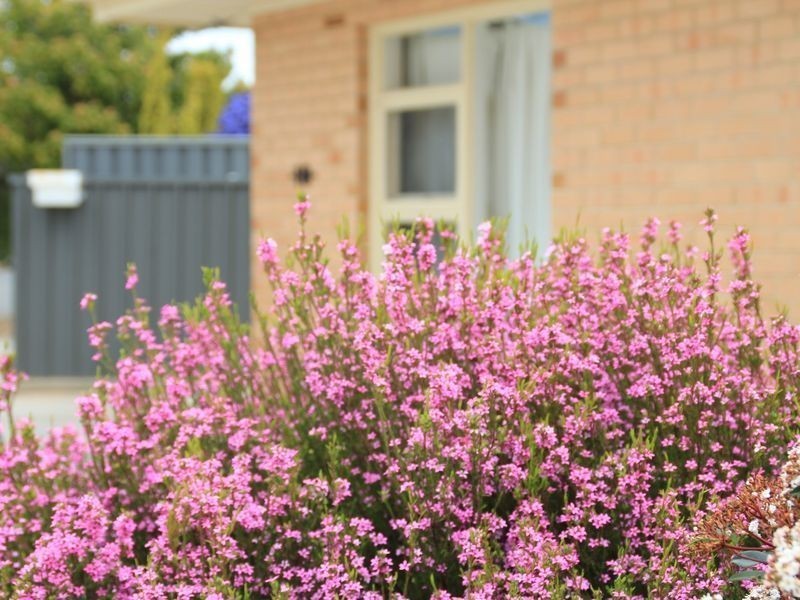 10 Woodland Road, Mitchell Park SA 5043