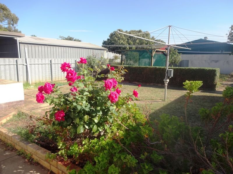 154 Morgan Avenue, Melrose Park SA 5039