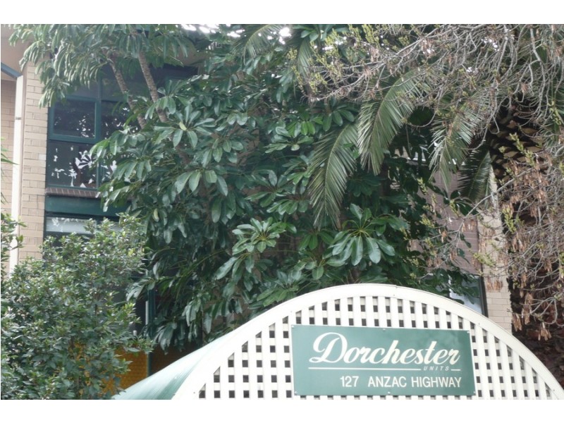 29/127 Anzac Highway, Kurralta Park SA 5037