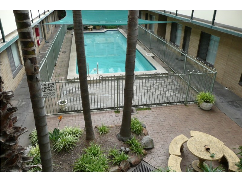 29/127 Anzac Highway, Kurralta Park SA 5037