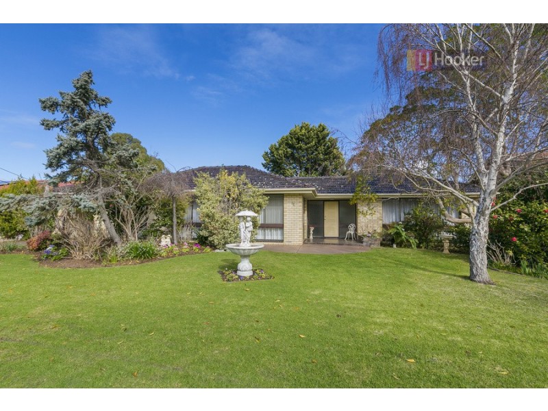 36 Saratoga Drive, Novar Gardens SA 5040