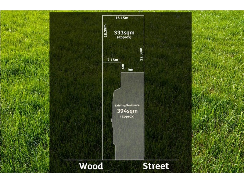 51 Wood Street, South Plympton SA 5038