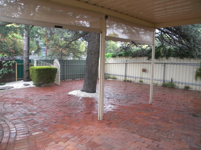 7 Clifford Avenue, Kurralta Park SA 5037