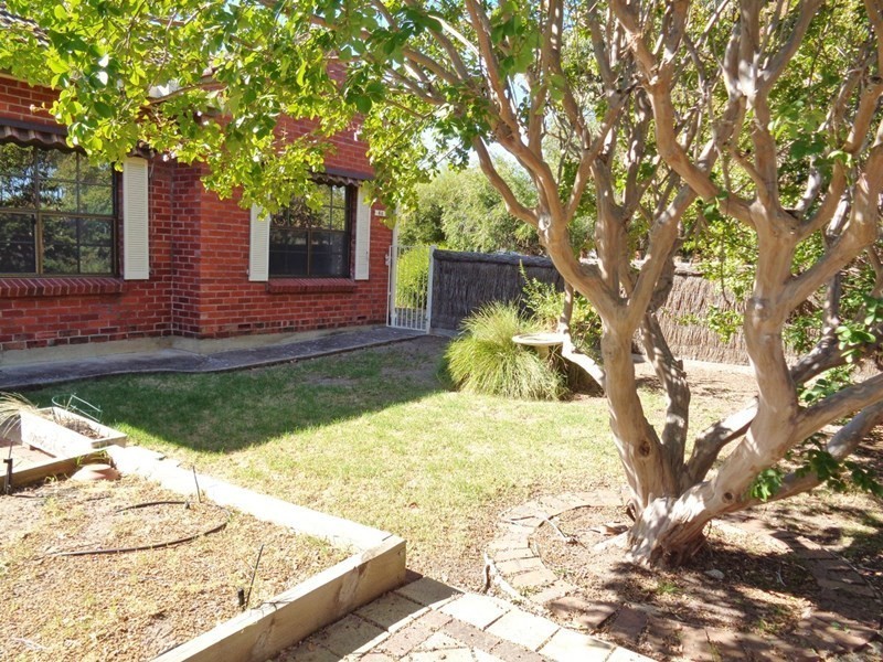 44 Allinga Avenue, Glenside SA 5065