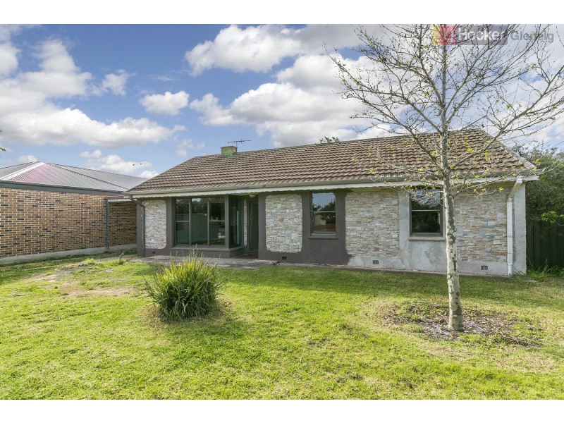 19 Norrie Avenue, Clovelly Park SA 5042