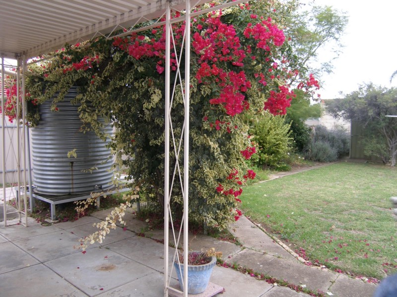 40 Gray Street, Plympton SA 5038