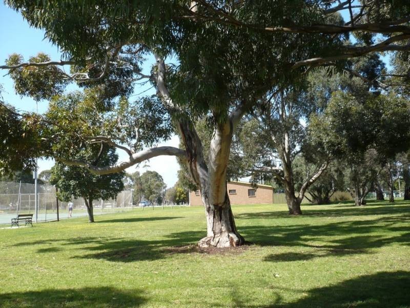 4/2 Ferguson Street, Glenelg North SA 5045