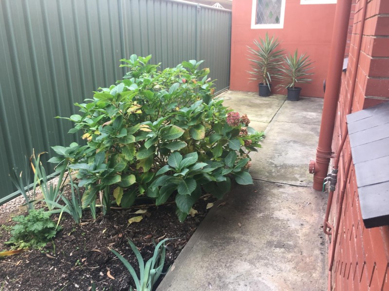 1/7 Crozier Terrace, Oaklands Park SA 5046