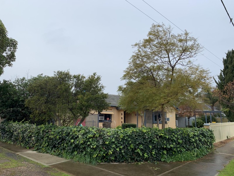 22 Edwards Avenue, Park Holme SA 5043