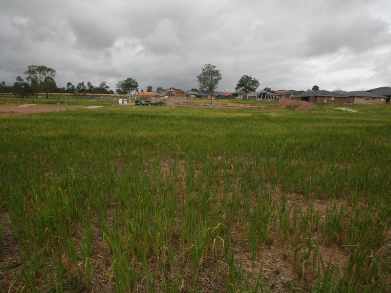 Lot 215 Annfield Street, Kellyville Ridge NSW 2155