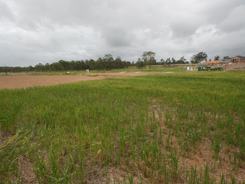 Lot 215 Annfield Street, Kellyville Ridge NSW 2155
