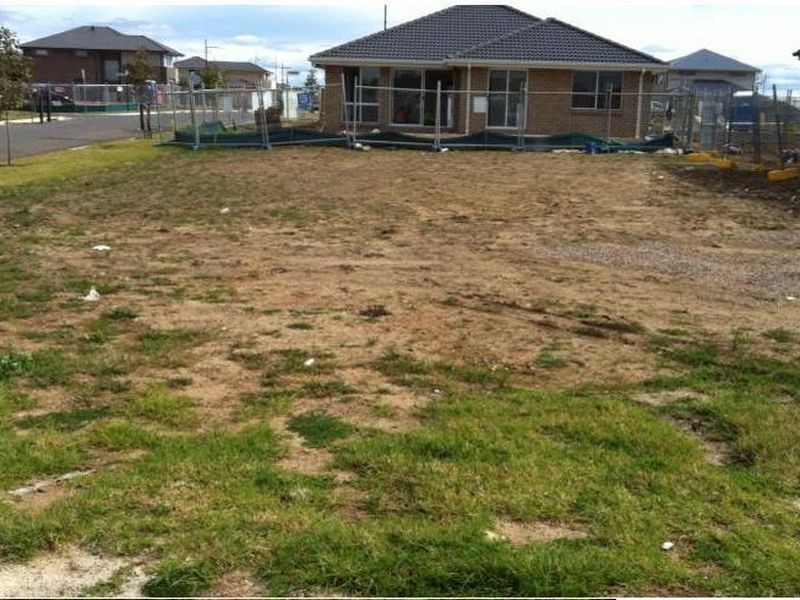 65 Meander Crescent, The Ponds NSW 2769