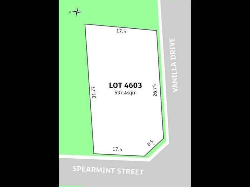 10 Spearmint Street, The Ponds NSW 2769