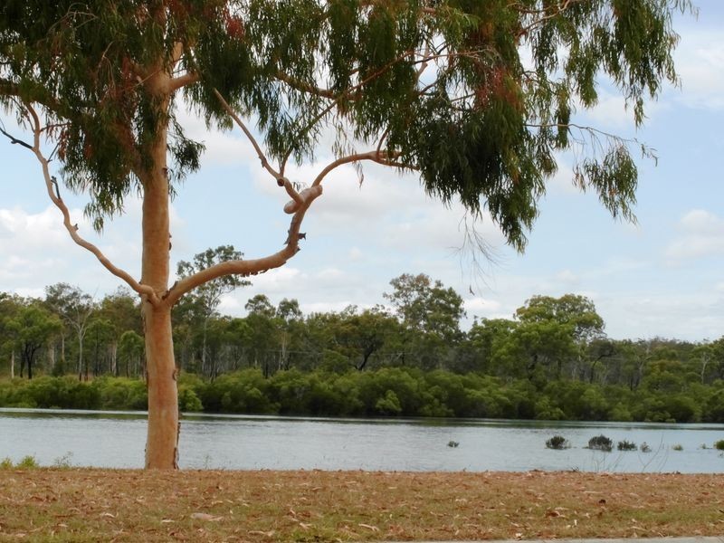 3 SALGADO STREET, Boyne Island QLD 4680