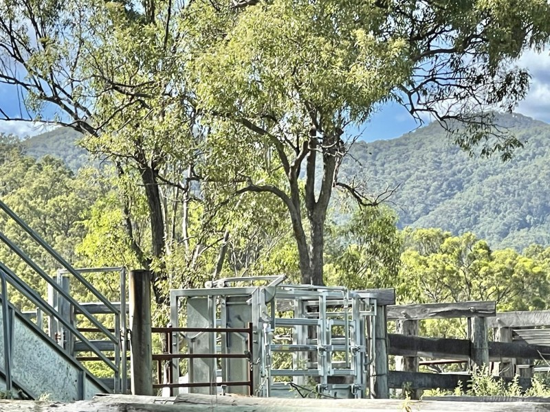 726 Reedbed Road, Bororen QLD 4678