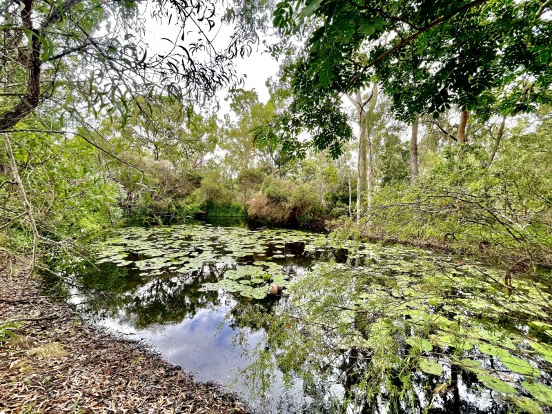 308 Bells Road, Rodds Bay QLD 4678